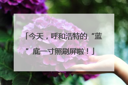 今天，呼和浩特的“蓝”底一寸照刷屏啦！