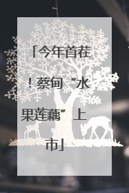 今年首茬！蔡甸“水果莲藕”上市