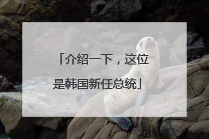 介绍一下，这位是韩国新任总统