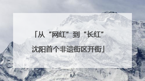 从“网红”到“长红” 沈阳首个非遗街区开街