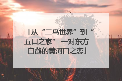 从“二鸟世界”到“五口之家” 一对东方白鹳的黄河口之恋