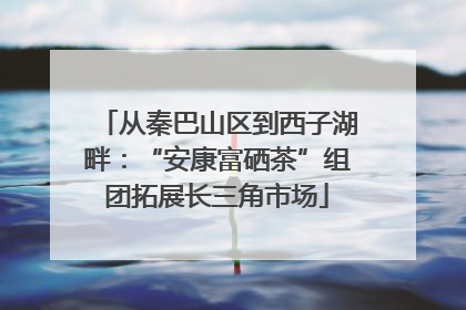 从秦巴山区到西子湖畔：“安康富硒茶”组团拓展长三角市场
