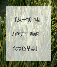 从一纸“电力药方”看绍兴绿色革命