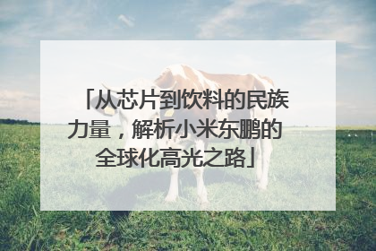 从芯片到饮料的民族力量，解析小米东鹏的全球化高光之路