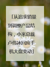 从追求销量到调整产品结构，小米总裁卢伟冰回应手机大盘变动