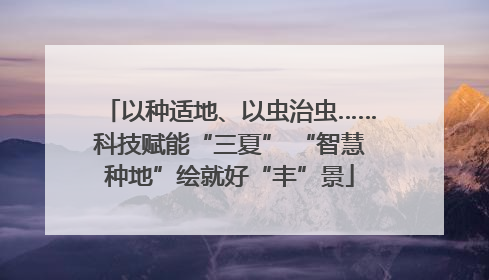 以种适地、以虫治虫……科技赋能“三夏” “智慧种地”绘就好“丰”景