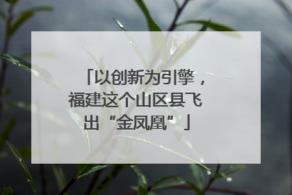 以创新为引擎，福建这个山区县飞出“金凤凰”