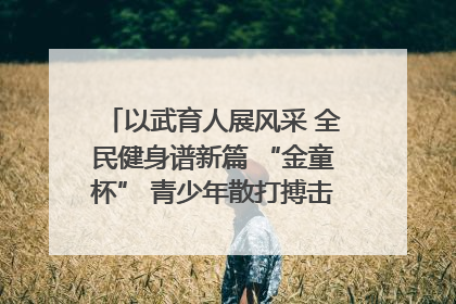 以武育人展风采 全民健身谱新篇 “金童杯” 青少年散打搏击邀请赛圆满落幕