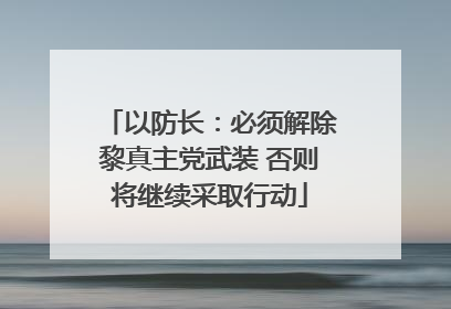 以防长：必须解除黎真主党武装 否则将继续采取行动