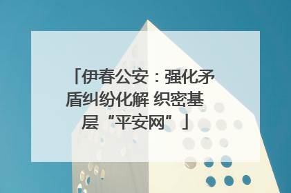 伊春公安：强化矛盾纠纷化解 织密基层“平安网”