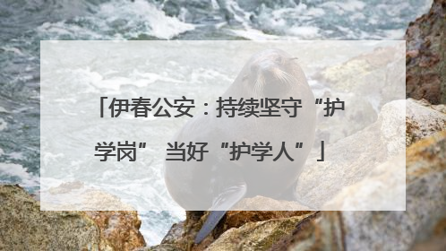 伊春公安：持续坚守“护学岗” 当好“护学人”