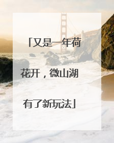 又是一年荷花开，微山湖有了新玩法
