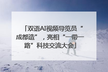 双语AI视频导览员“成都造”，亮相“一带一路”科技交流大会