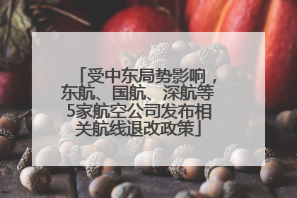 受中东局势影响，东航、国航、深航等5家航空公司发布相关航线退改政策