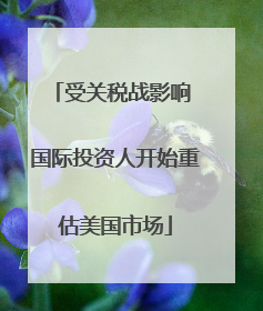 受关税战影响 国际投资人开始重估美国市场