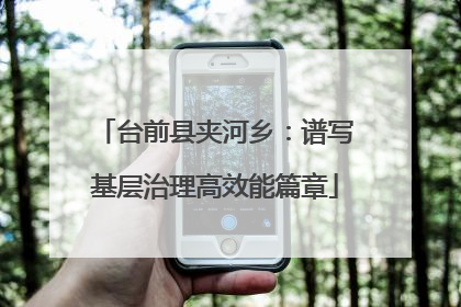 台前县夹河乡：谱写基层治理高效能篇章