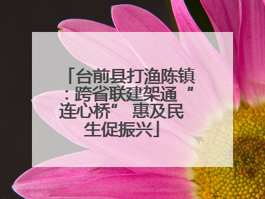 台前县打渔陈镇：跨省联建架通“连心桥” 惠及民生促振兴