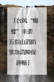 台风“蝴蝶”来袭 五指山消防紧急清障保通畅