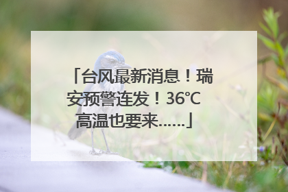 台风最新消息！瑞安预警连发！36℃高温也要来……