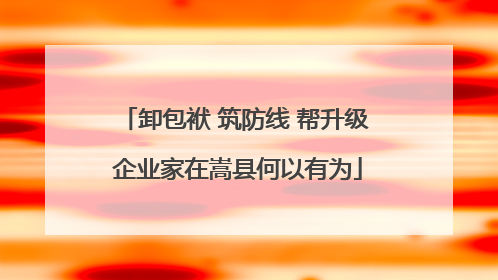卸包袱 筑防线 帮升级 企业家在嵩县何以有为