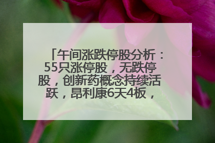 午间涨跌停股分析：55只涨停股，无跌停股，创新药概念持续活跃，昂利康6天4板，众生药业2连板