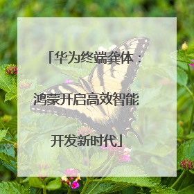 华为终端龚体：鸿蒙开启高效智能开发新时代