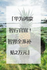 华为鸿蒙智行官宣！智界全系补贴2万元