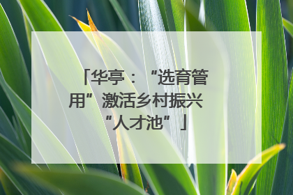 华亭：“选育管用”激活乡村振兴“人才池”