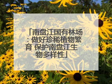 南盘江国有林场：做好珍稀植物繁育 保护南盘江生物多样性