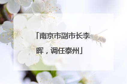 南京市副市长李晖，调任泰州