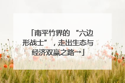南平竹界的 “六边形战士”，走出生态与经济双赢之路→