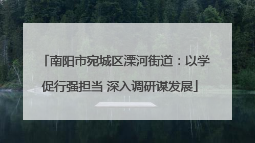 南阳市宛城区溧河街道：以学促行强担当 深入调研谋发展