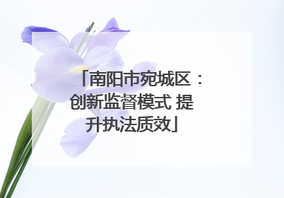 南阳市宛城区：创新监督模式 提升执法质效