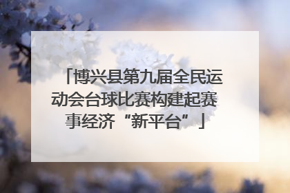 博兴县第九届全民运动会台球比赛构建起赛事经济“新平台”