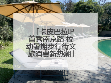 卡皮巴拉IP首秀南京路 拉动暑期步行街文旅消费新热潮