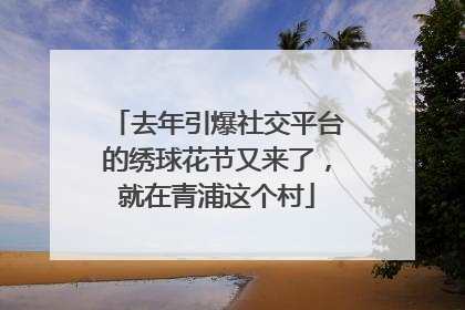 去年引爆社交平台的绣球花节又来了，就在青浦这个村