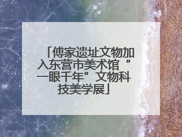 傅家遗址文物加入东营市美术馆“一眼千年”文物科技美学展