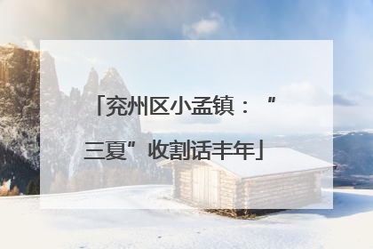 兖州区小孟镇：“三夏”收割话丰年