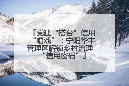 党建“搭台”信用“唱戏”：宁阳华丰管理区解锁乡村治理“信用密码”