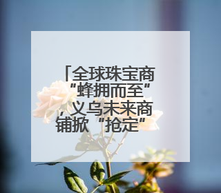 全球珠宝商“蜂拥而至”，义乌未来商铺掀“抢定”热潮！