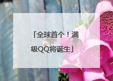 全球首个！满级QQ将诞生