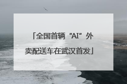 全国首辆“AI”外卖配送车在武汉首发