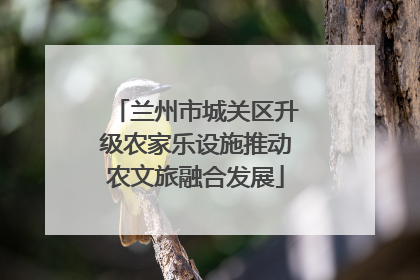 兰州市城关区升级农家乐设施推动农文旅融合发展