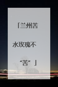 兰州苦水玫瑰不“苦”