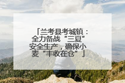 兰考县考城镇：全力备战“三夏”安全生产，确保小麦“丰收在仓”