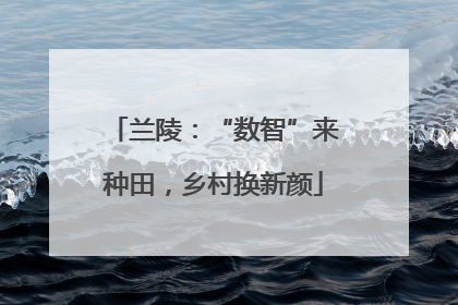 兰陵：“数智”来种田，乡村换新颜