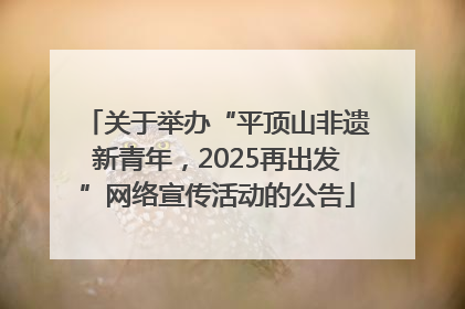 关于举办“平顶山非遗新青年，2025再出发”网络宣传活动的公告