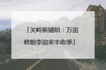 关岭新铺镇：万亩蜂糖李迎来丰收季