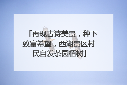 再现古诗美景，种下致富希望，西湖景区村民自发茶园植树