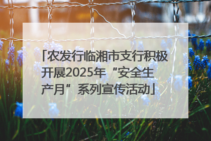 农发行临湘市支行积极开展2025年“安全生产月”系列宣传活动
